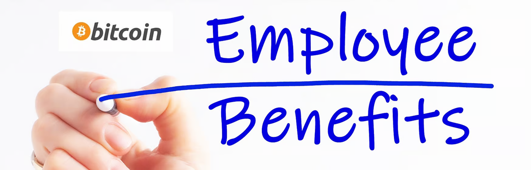 Official First Financial® Employee Benefit Plan guide - Secure Institutional Investing Since 1995